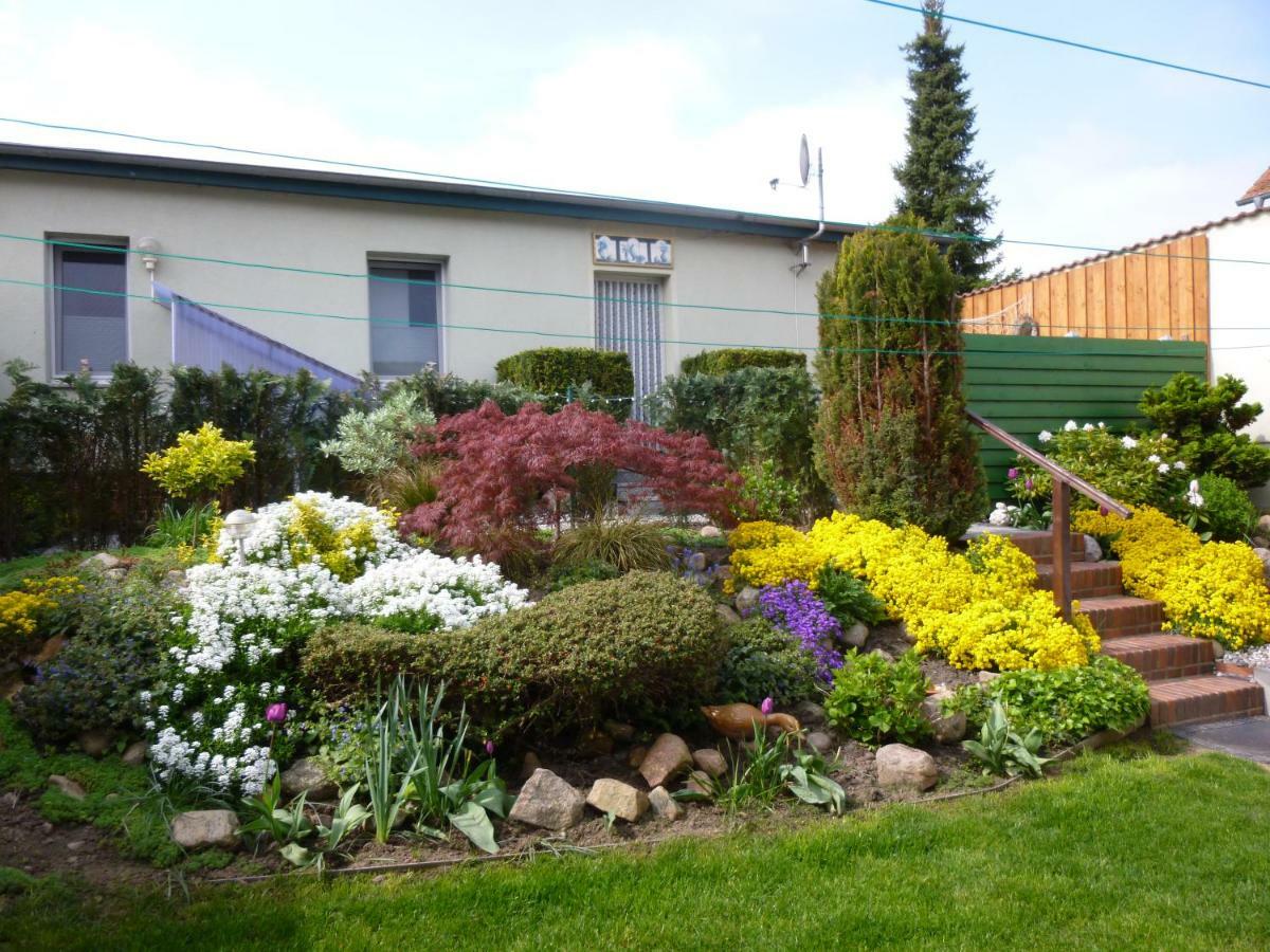 Pension Am Peeneufer Ug Wolgast Exterior foto